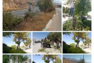 اجرای عملیات هرس پاییزه ی درختان توسط شهرداری شلمزار