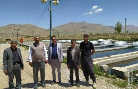 راه اندازی شیلات پرورش ماهی محل گردشگری دریاچه
